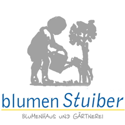 Blumen Stuiber